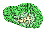 Click to view animation (309K)