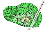 Click to view animation (577K)